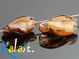 Weneckie - świderki miodowe 1,3cm - SW259 