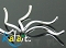 Icon_31