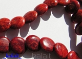 Koral naturalny koło płaskie 2,2cm - 1szt. -K43