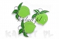 Charms bali zawieszka zielone jabłko - CZ016 